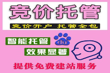 竞价排名案例分析：电商行业
